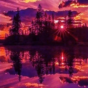 Meet your Posher, Josephine